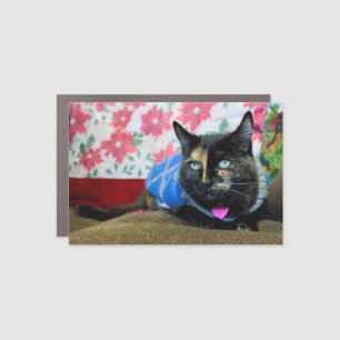 Calico III Car Magnet