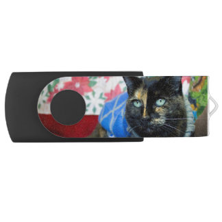 Calico III Flash Drive