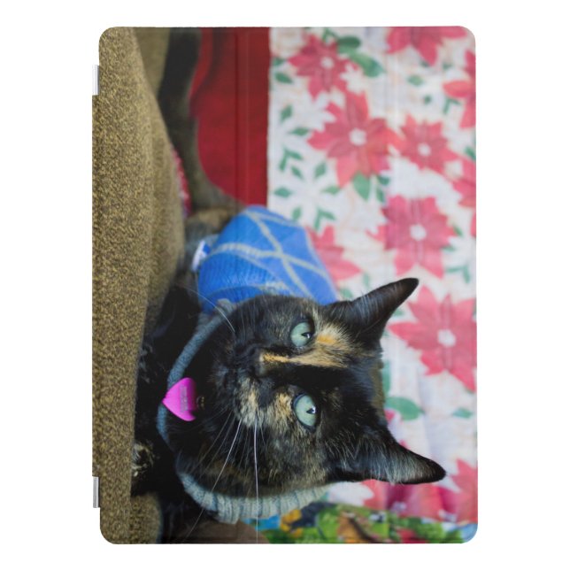 Calico III iPad Pro Cover (Front)