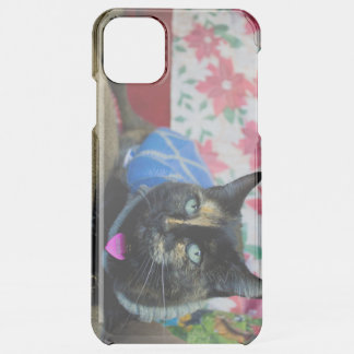 Calico III iPhone 11 Pro Max Case