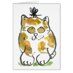 Calico Kitten And Dragonfly at Zazzle