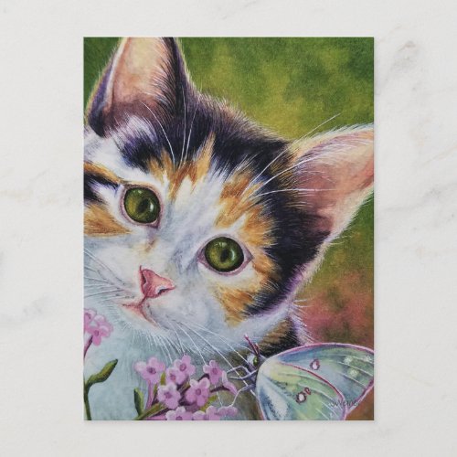 Calico Kitten and Sulphur Butterfly Watercolor Art Postcard