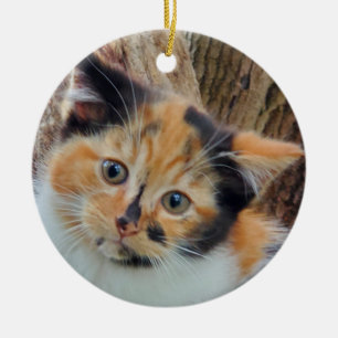 Calico kitten ceramic ornament