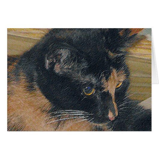Calico Kitten Face Cards (Front Horizontal)