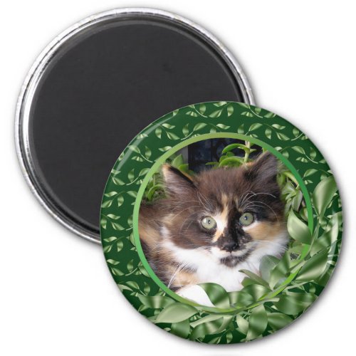 Calico Kitten Green Eyes Magnet
