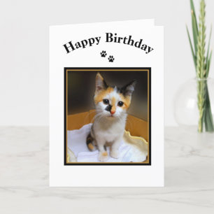 Calico Kitten Happy Birthday Card