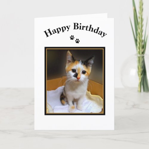 Calico Kitten Happy Birthday Card