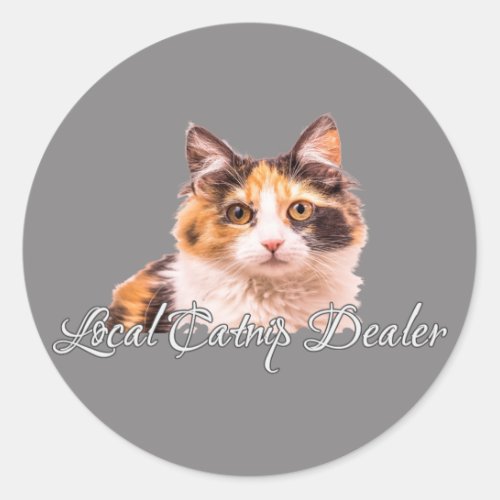 Calico Kitten Local Catnip Dealer Classic Round Sticker