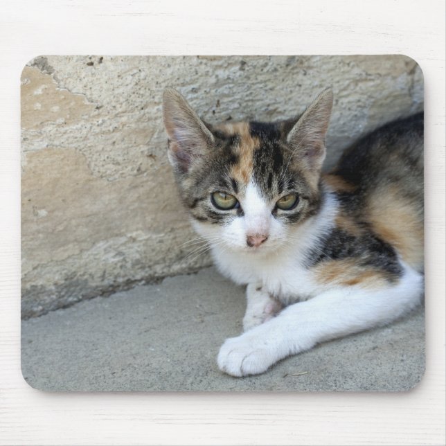 Calico Kitten Mouse Pad (Front)