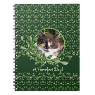 Calico Kitten Purrrfect Day