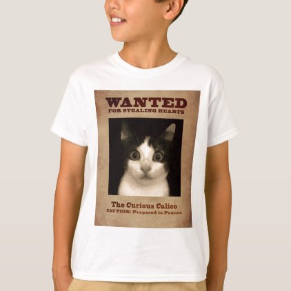 Calico Kitten T-Shirt