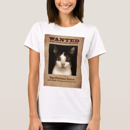 Calico Kitten T-Shirt