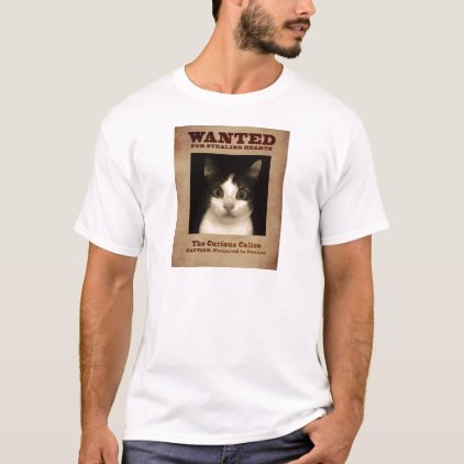 Calico Kitten T-Shirt