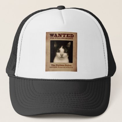 Calico Kitten Trucker Hat