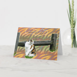 Calico Kitty Cat Thinking of You Card