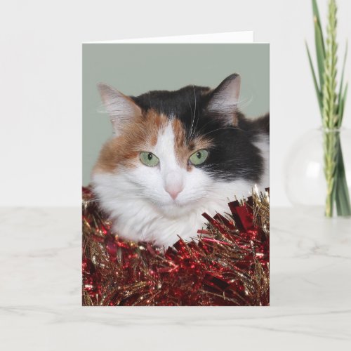 Calico kitty Christmas Holiday Card