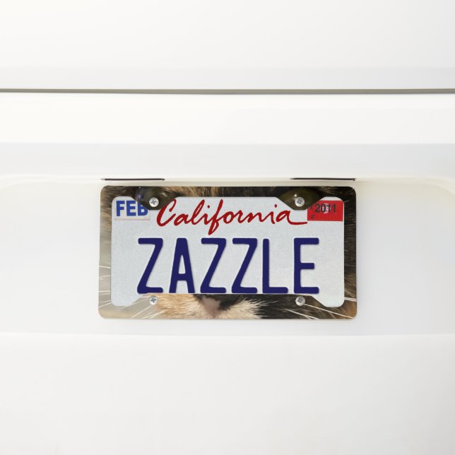 Calico License Frame (On Car)