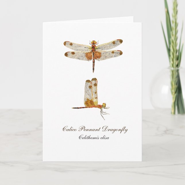 Calico Pennant Dragonfly Greeting Card (Front)