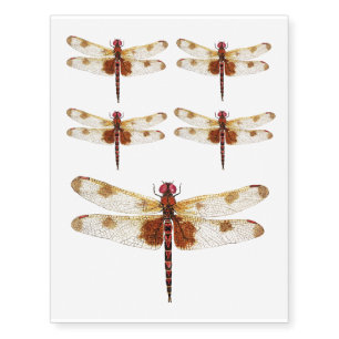 Calico Pennant Dragonfly Temporary Tatoo Tattoos
