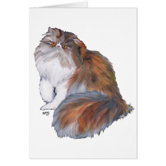 Calico Persian Cat Cards (Front)
