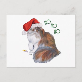 Calico Persian Cat Christmas Holiday Postcard by MaggieRossCats at Zazzle
