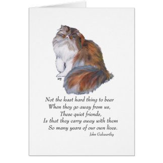 Calico Persian Cat Rainbow Bridge Cards