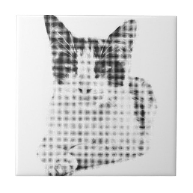 Calico Pop Halftone Ceramic Tile (Front)