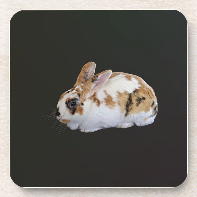 Calico Rabbit Beverage Coaster (Front)