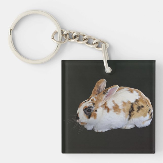 Calico Rabbit Keychain (Front)