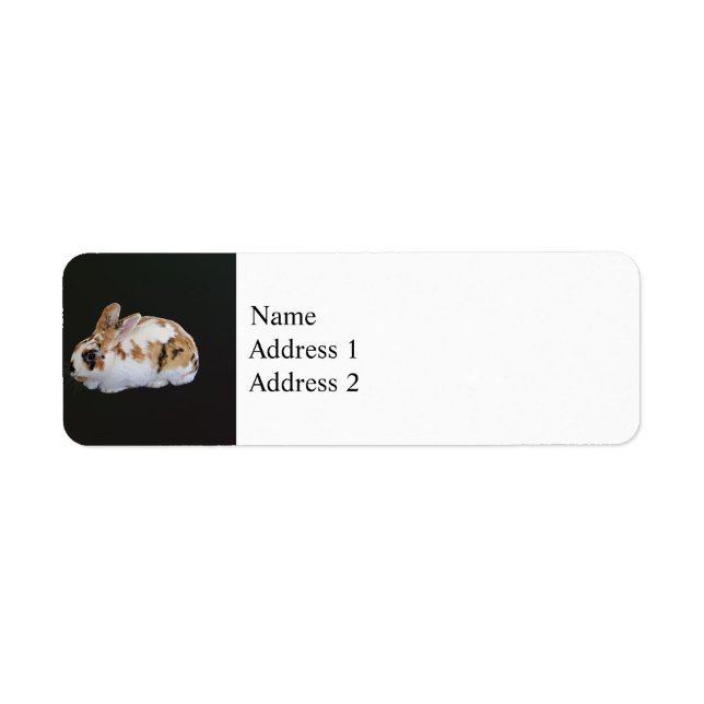 Calico Rabbit Label (Front)