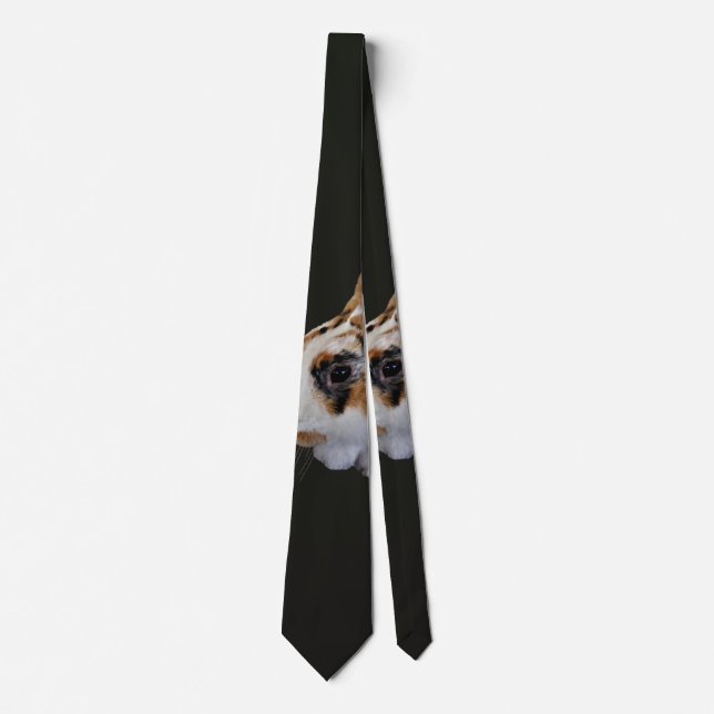 Calico Rabbit Neck Tie (Front)