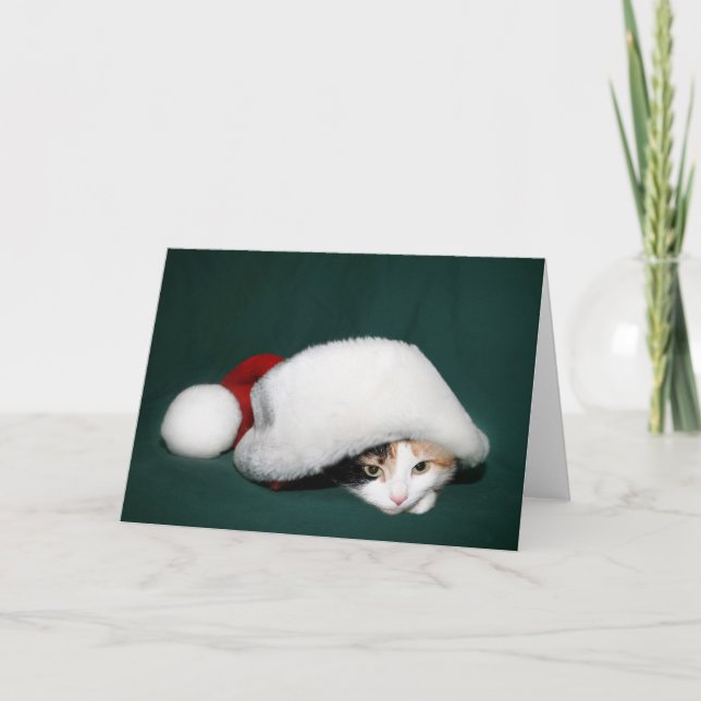 Calico Santa Holiday Card (Front)