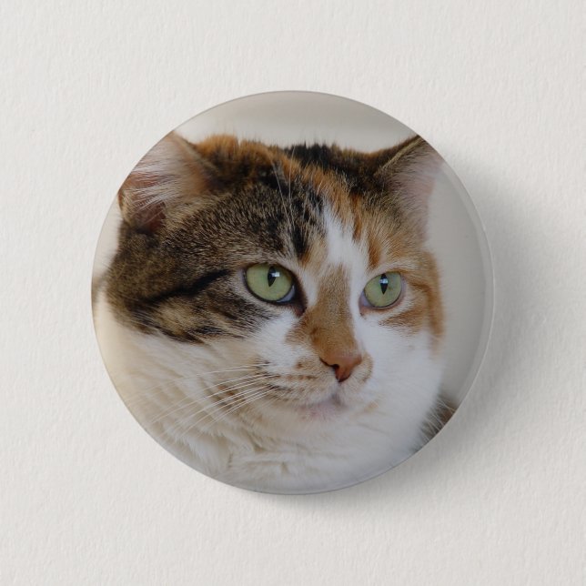 Calico tabby cat face button (Front)