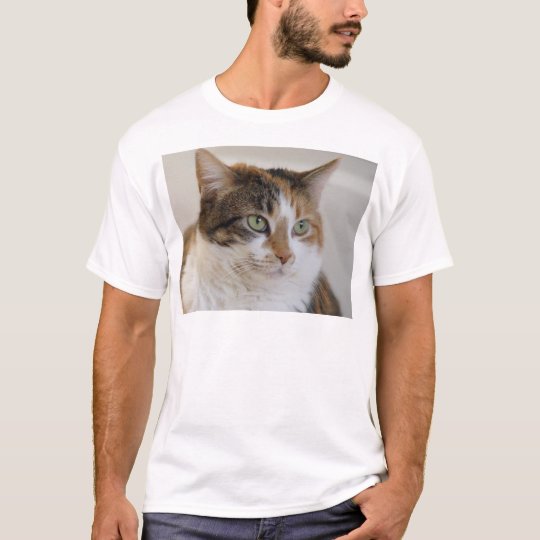 Calico tabby cat face T-Shirt