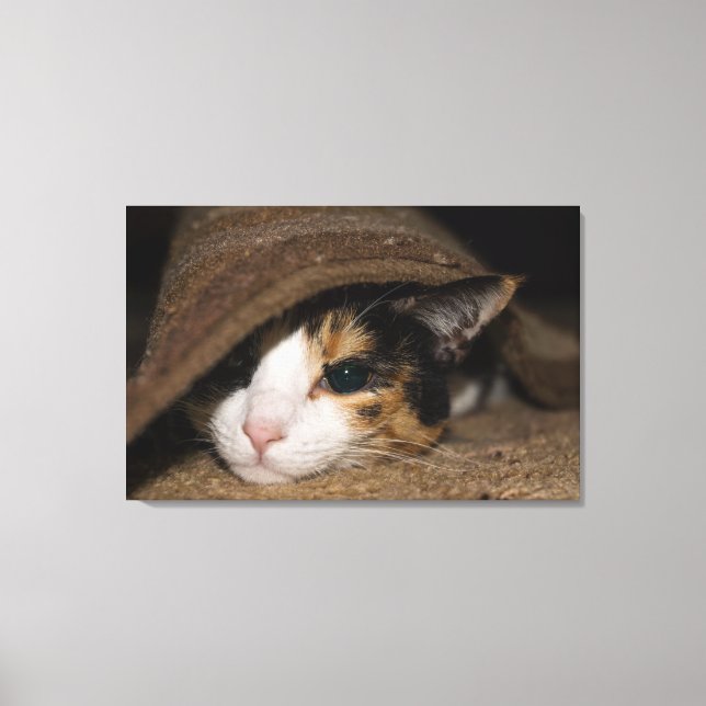 Calico Taco Canvas Print (Front)