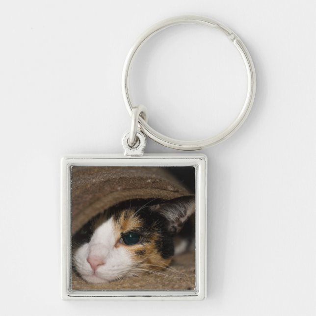Calico Taco Keychain (Front)