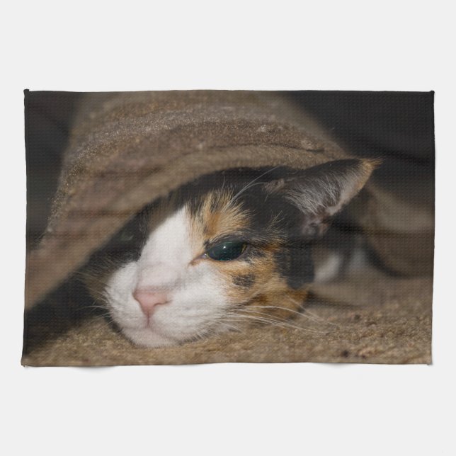 Calico Taco Kitchen Towel (Horizontal)