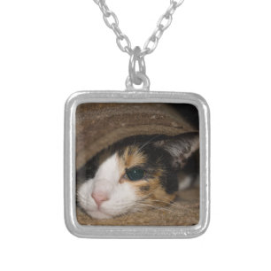 Calico Taco Silver Plated Necklace