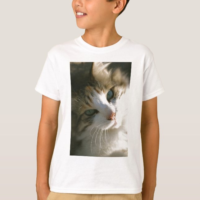 Calico Tiger Cat T-Shirt (Front)