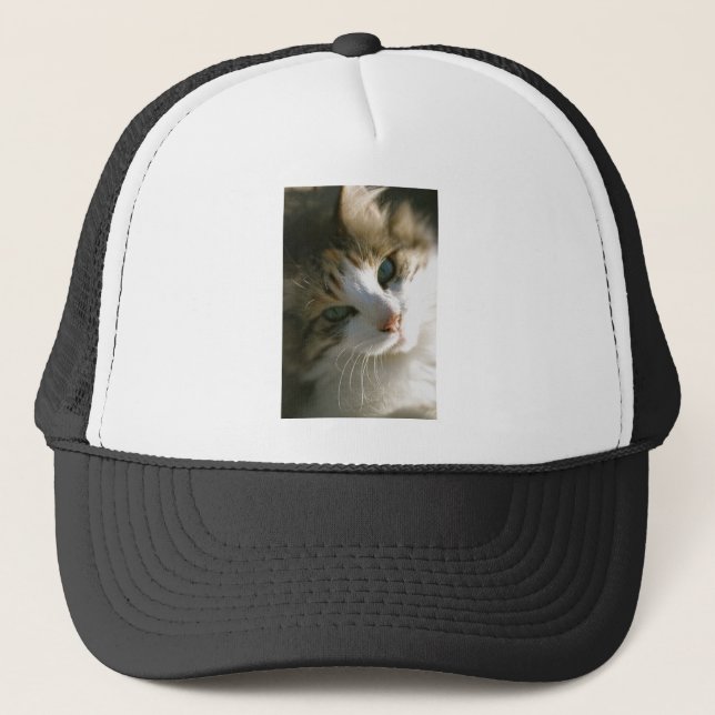 Calico Tiger Cat Trucker Hat (Front)