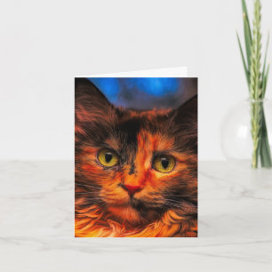 CALICO TORTIE CAT PHOTOGRAPHY BIRTHDAY CARDS