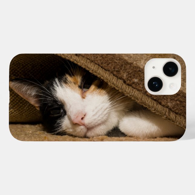 Calico Under The Rug iPhone Case (Back (Horizontal))