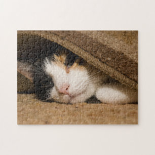 Calico Under The Rug Jigsaw Puzzle
