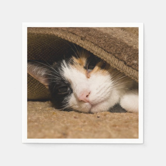 Calico Under The Rug Napkins (Front)