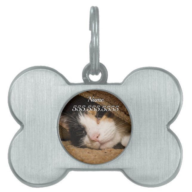 Calico Under The Rug Pet Tag (Front)