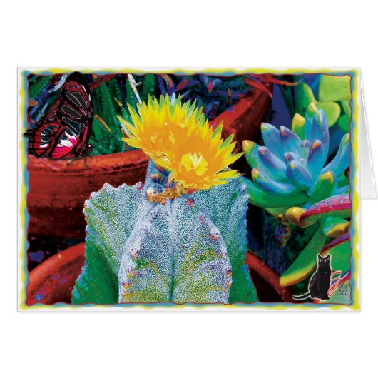 Caliente Cactus Cards (Front Horizontal)