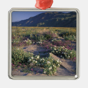 Califorinia, Anza-Borrego Desert SP, Sand Metal Ornament