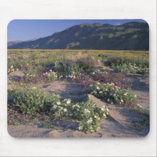 Califorinia, Anza-Borrego Desert SP, Sand Mouse Pad