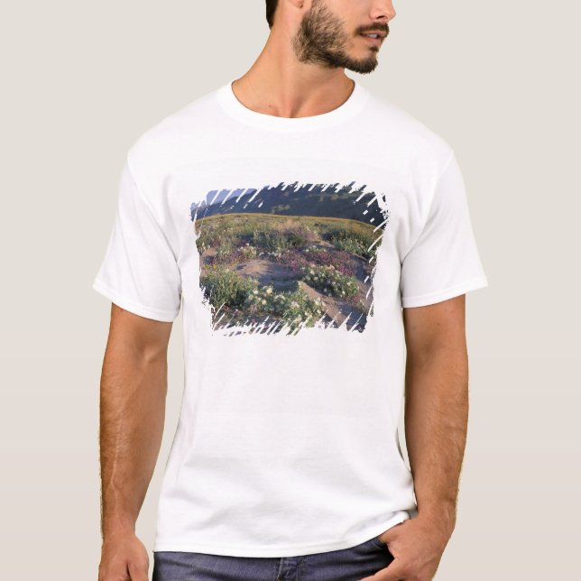 Califorinia, Anza-Borrego Desert SP, Sand T-Shirt (Front)