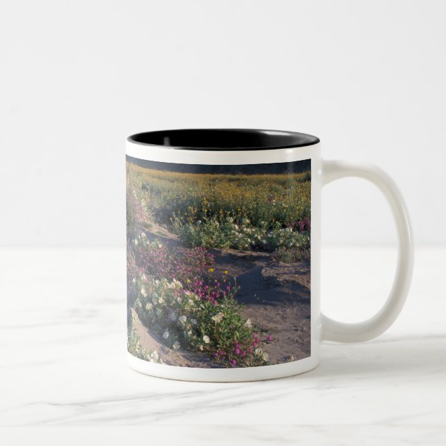Califorinia, Anza-Borrego Desert SP, Sand Two-Tone Coffee Mug (Right)